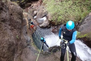 Canyoning Level 2 - Ribeira do Cidrão- Madeira Island