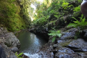 Wycieczka canyoningowa: prywatna