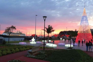 Christmas Lights in Funchal Tuk Tuk Tour
