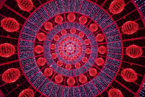 Christmas Lights in Funchal Tuk Tuk Tour