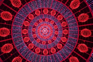 Julelys i Funchal Tuk Tuk-tur