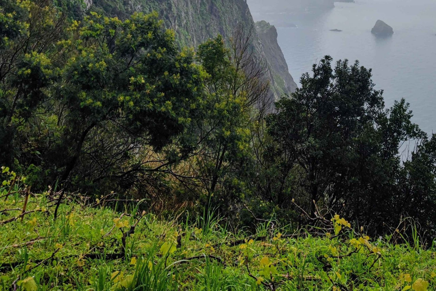 Coastal Hike Madeira