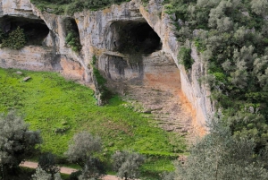 Coimbra: Buggy off-road adventure