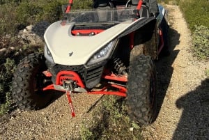 Coimbra: Buggy off-road adventure