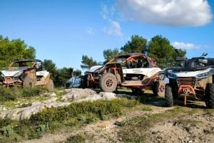 Coimbra: Buggy off-road adventure