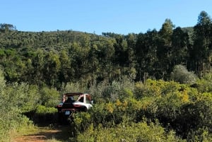 Coimbra: Buggy off-road adventure