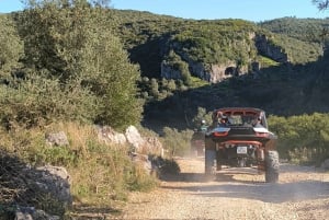 Coimbra: Buggy off-road adventure