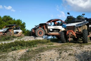 Coimbra: Buggy off-road adventure