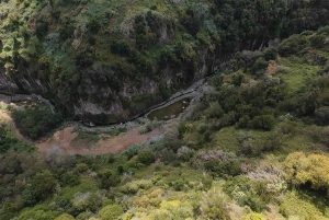 Pico do Arieiro, Santana & more – Full Day Madeira East Tour