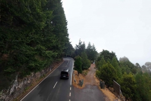 Pico do Arieiro, Santana & more – Full Day Madeira East Tour