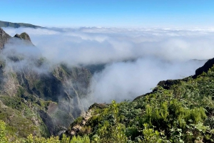 Pico do Arieiro, Santana & more – Full Day Madeira East Tour