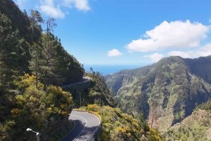 Pico do Arieiro, Santana & more – Full Day Madeira East Tour