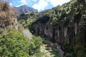 Pico do Arieiro, Santana & more – Full Day Madeira East Tour