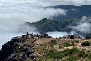 Pico do Arieiro, Santana & more – Full Day Madeira East Tour