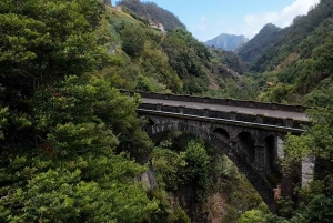 Pico do Arieiro, Santana & more – Full Day Madeira East Tour