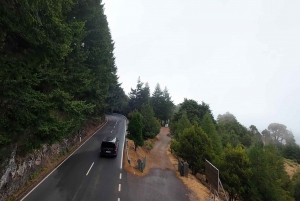 Pico do Arieiro, Santana & more – Full Day Madeira East Tour