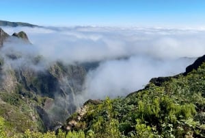 Pico do Arieiro, Santana & more – Full Day Madeira East Tour