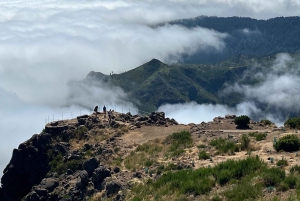 Pico do Arieiro, Santana & more – Full Day Madeira East Tour