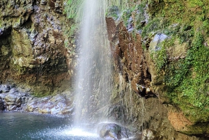 Pico do Arieiro, Santana & more – Full Day Madeira East Tour
