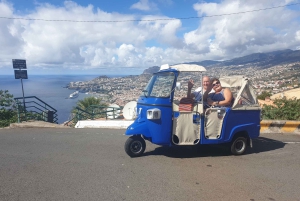 Cristo Rei og Garajau Tuk-Tuk-tur