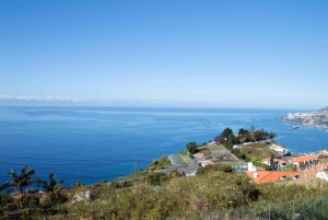 Wycieczka z przewodnikiem po Cristo Rei (z Funchal)