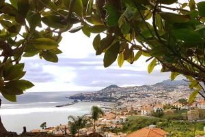 Wycieczka z przewodnikiem po Cristo Rei (z Funchal)