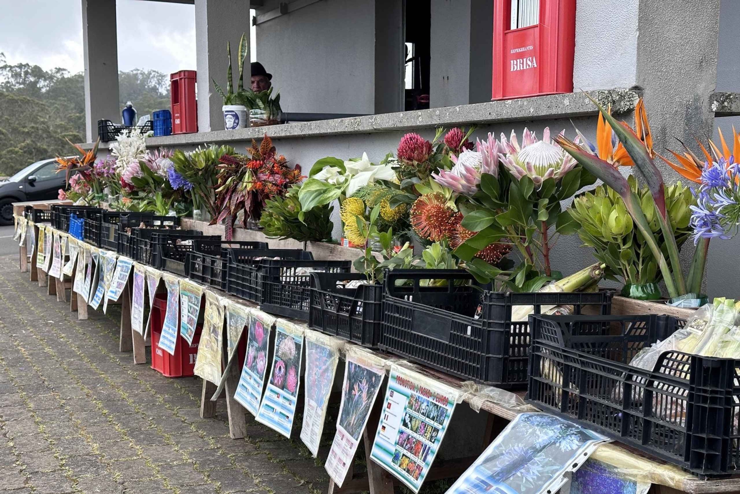 TOUR GASTRONOMICO 'FOOD & (E) BIKE TOUR