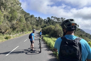 TOUR GASTRONOMICO 'FOOD & (E) BIKE TOUR