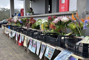 TOUR GASTRONOMICO 'FOOD & (E) BIKE TOUR