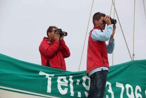 Desertas Islands Full-Day Catamaran Trip from Funchal