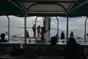 Excursion d'une journée en catamaran dans les îles Desertas au départ de Funchal