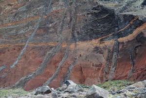 Excursion d'une journée en catamaran dans les îles Desertas au départ de Funchal