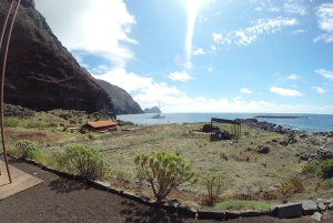 Excursion d'une journée en catamaran dans les îles Desertas au départ de Funchal