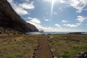 Excursion d'une journée en catamaran dans les îles Desertas au départ de Funchal