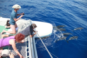 Excursion d'une journée en catamaran dans les îles Desertas au départ de Funchal