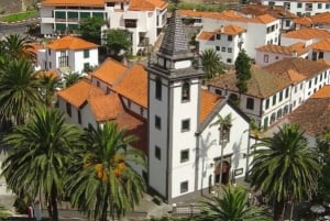 Discover Madeira: Full-Day Tour to Porto Moniz