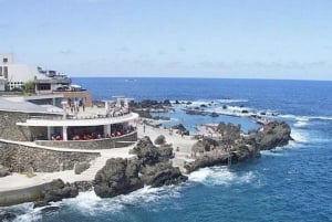 Découvrez Madère : Visite d'une jounée à Porto Moniz