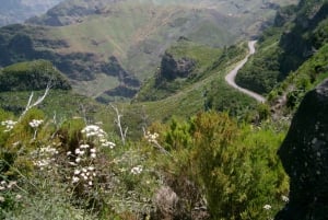 Découvrez Madère : Visite d'une jounée à Porto Moniz