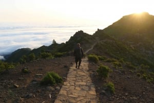 Discover Madeira's idyllic hikes & beauty on foot & wheels!