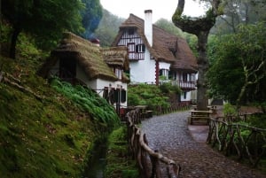 Discover Madeira's idyllic hikes & beauty on foot & wheels!