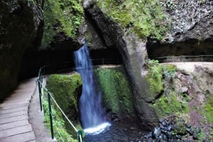 Discover Madeira's idyllic hikes & beauty on foot & wheels!