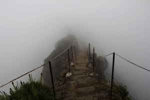 Discover Madeira's idyllic hikes & beauty on foot & wheels!