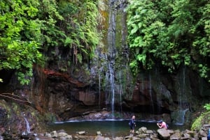 Discover Madeira's idyllic hikes & beauty on foot & wheels!