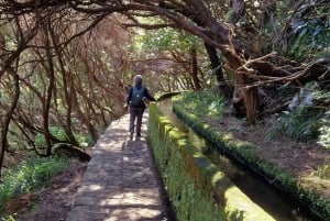 Discover Madeira's idyllic hikes & beauty on foot & wheels!