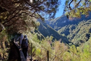 Discover Madeira's idyllic hikes & beauty on foot & wheels!