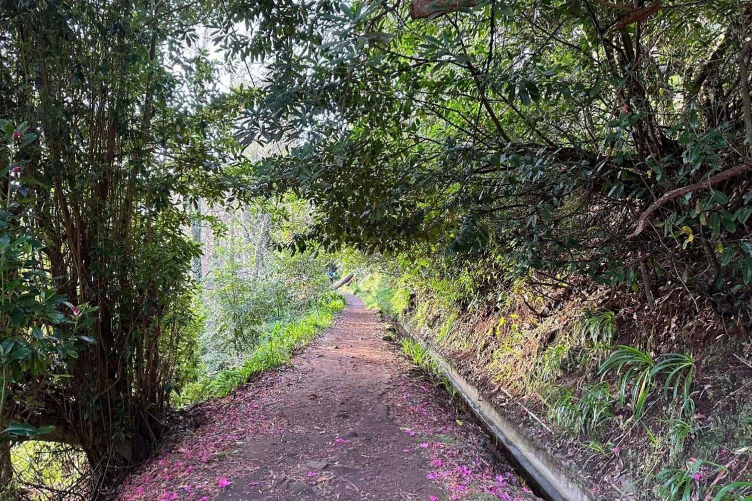 Entdecke das Paradise Valley - eine schnelle Flucht für alle