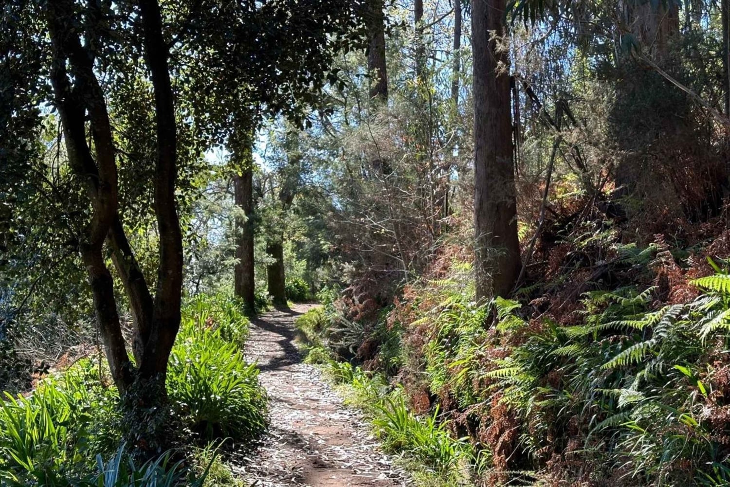 Entdecke das Paradise Valley - eine schnelle Flucht für alle