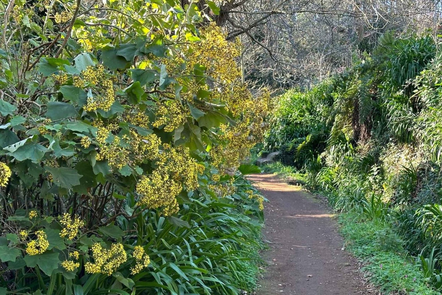 Entdecke das Paradise Valley - eine schnelle Flucht für alle