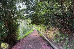 Entdecke das Paradise Valley - eine schnelle Flucht für alle