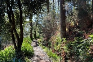 Entdecke das Paradise Valley - eine schnelle Flucht für alle